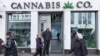 Marihuana - jedna od rijetkih stvari o kojoj se Amerikanci slažu pred izbore 