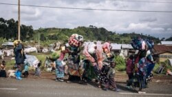 Sango ya Mokili Lelo: Bato babale bazoki na bombe ekweyi na Mungunga (Goma)