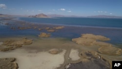 A partial view of Lake Titicaca in Huarina, Bolivia, on July 27, 2023. The lake's low water level is having a direct impact on the local flora and fauna.