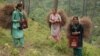 In India, Women Craft Pine Needles Into Incomes, Helping Forests Along Way