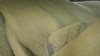 Deal for Ukraine Grain Transit Made With 5 EU Countries 