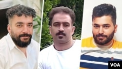 مجید کاظمی، صالح میرهاشمی، و سعید یعقوبی.