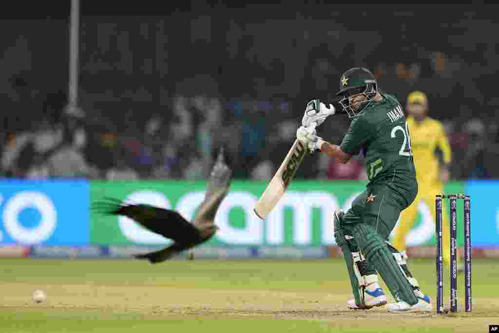 A kite flies into the ground as Pakistan&#39;s Imam-ul-Haq plays a shot during the ICC Men&#39;s Cricket World Cup match between Australia and Pakistan in Bangaluru, India.&nbsp;(AP Photo/Eranga Jayawardena)