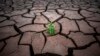 Spain Records Hottest, Driest April on Record 