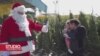 Los Angeles: Kompanija za reciklažu nudi božićna drvca u zamjenu za smeće