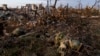 Declassified US Intelligence Reveals Massive Russian Losses in Ukraine