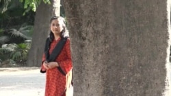  پچاس سال پرانے پیپل کے درخت کو نئی زندگی مل گئی 