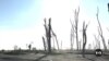 Climate Change Ruining Farms on El Salvador’s Coast