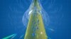 Experiment Shows Gravity Affects Antimatter and Matter the Same Way