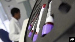 Blood is tested at the AIDS Care Training and Support Initiative (ACTS) at White River Junction, South Africa. The center is partly funded by the President's Emergency Plan for AIDS Relief (PEPFAR), December 2008 photo
