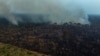 Amazon Deforestation Rate Slows Somewhat Last Year
