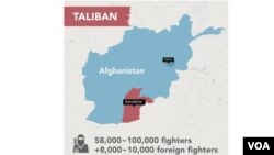 خیال کیږي چې د طالبانو د جګړه مارانو شمېر اوس د اته پنځوس زره او یو لاکهو ترمنځ دی
