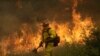 Petugas Padamkan Sebagian Kebakaran Hutan di California