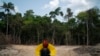 Brazil’s Amazon Deforestation Hits Record for Month of April 