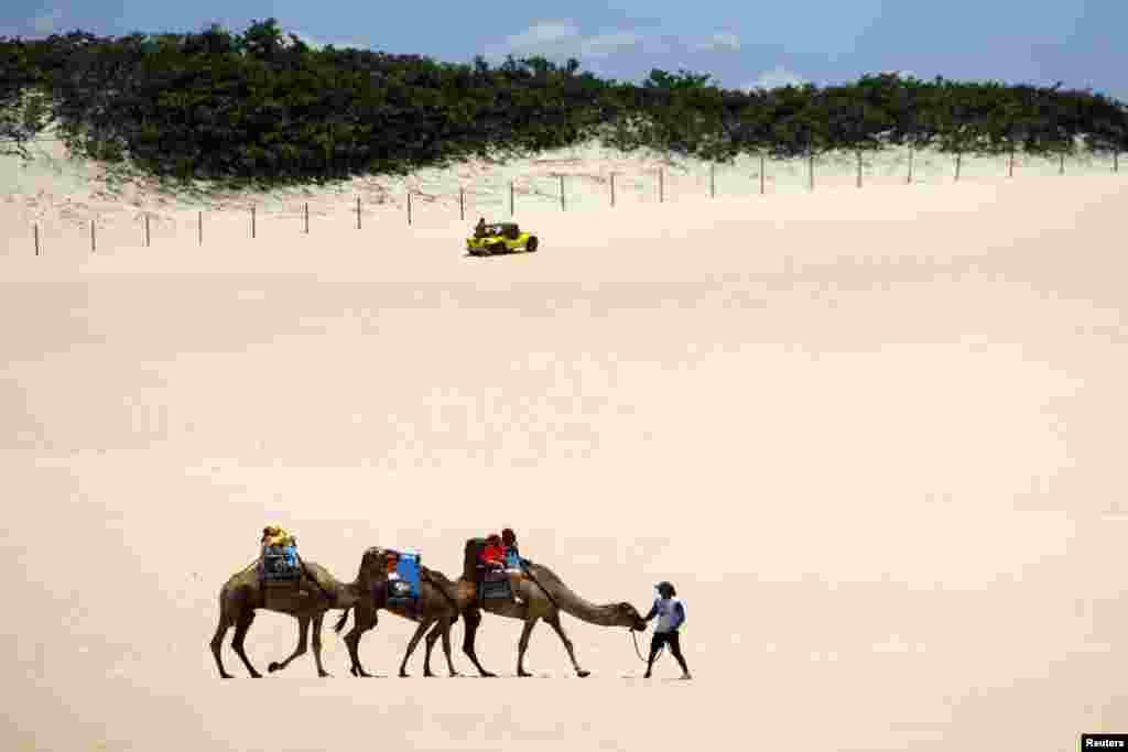 Wisatawan menunggang unta di daerah Genipabu di Natal, Timur Laut Brasil. Natal adalah salah satu kota tuan rumah turnamen sepak bola Piala Dunia 2014 di Brasil. &nbsp;
