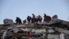 Turkey Syria Earthquake