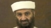 Bin Laden Journal Discusses Terror Operations