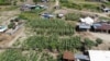 Pemanfaatan lahan di sekitar bangunan hunian sementara (huntara) untuk tanaman jagung dan pepaya di pemukiman Huntara Desa Lolu, Sigi, Sulawesi Tengah, 30 Juli 2019. (Foto: VOA/Yoanes Litha)