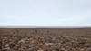 Study: Huge Meteorite Crater in Greenland Much Older than Suspected