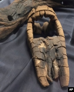This March 2021 photo provided by the Pilgrim Hall Museum, shows a fragile pump-box from the 1626 shipwreck Sparrow-hawk, in Plymouth, Massachussetts.