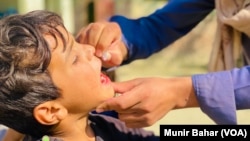 د ۲۰۲۲ کال د اکتوبر د میاشتې د ګوزڼ ضد کمپاین