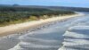 Whales stranded on Ocean Beach at Macquarie Harbor on the west coast of Australia's island state of Tasmania, Sept. 21, 2022.