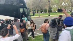 Migran kap Debake Washington Pa Bann e Pa Paket nan Otobis Bay Traka 