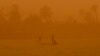 UN Climate Change Conference to Center on Middle East