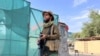 Taliban Claim Ignorance about Slain Al-Zawahiri's Presence in Kabul