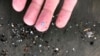 New Zealand Scientists Discover Micro Plastics In Antarctic Snow For the First Time 