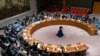 Les nouveaux remplaceront l'Inde, l'Irlande, le Kenya, le Mexique et la Norvège au Conseil de Sécurité de l'Onu.