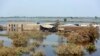 Pakistan's Catastrophic Rains Threaten National Food Security  