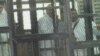 Journalists Demand Release of Colleagues Detained in Egypt