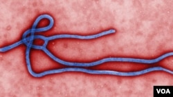 Wabah virus Ebola telah menewaskan lebih 100 orang di Guinea dan Liberia (foto: ilustrasi).