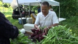 Refugee Farmers Reestablish Ties to the Land, Nourish Themselves and Neighbors
