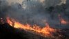 What Are the Risks of Fires in the Amazon?