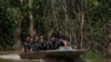Brazil Police Arrest 2nd Suspect in Case of Amazon's Missing Pair
