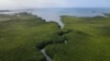Researchers Discover World’s Largest Bacterium