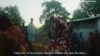 የቡና ምርት እና ጣዕም ያቀናው "ጌሻ ቪሌጅ"