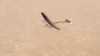 Pesawat bertenaga surya 'Solar Impulse 2' setelah lepas landas dari Bandara Eksekutif Al Bateen di Abu Dhabi Emirates (9/3).
