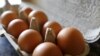 New US Dietary Recommendations say Eggs are OK