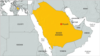 Rights Group: Saudi Guards Killed Ethiopians Seeking to Cross Border