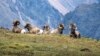 Rocky Mountain National Park: Wild and Wonderful