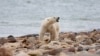 Climate Change Study Canceled Because of Impact of Climate Change 