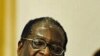 Analyst Sees Zimbabwe’s Referendum, Election in Doubt