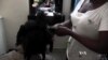 Natural Hair Movement Gaining Popularity in Ivory Coast.