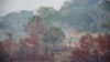 កម្ពុជា​ស្នើ​ឱ្យ​ប្រទេស​អភិវឌ្ឍន៍​បង្កើន​តម្លៃ​​ឥណទាន​កាបូន