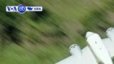 ABŞ-da Qərbi Nil virusu yayılır ~ Las Veqasda rekord yağışlar
