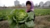 Skeptics Wonder if North Korea is Exaggerating Drought Impact