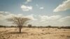 Afrique australe : des millions de personnes pourraient manquer de nourriture selon l'ONU